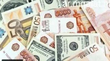 تحديثات جوهرية.. حقيقة تغيير سياسات وشروط النشر الجديدة في مقالات نيوز